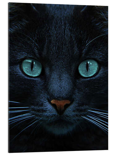 Gallery print eyes of blue