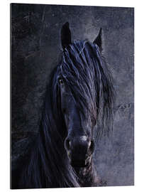 Gallery print The Friesian