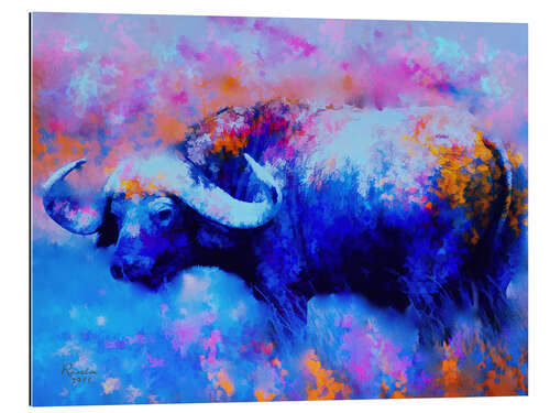 Gallery print Cape Buffalo