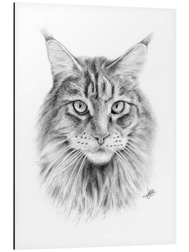 Tableau en aluminium Chat maine coon