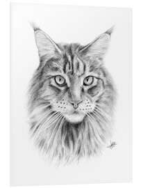 Quadro em PVC Gato Maine Coon