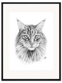 Gerahmter Kunstdruck Maine Coon Katze