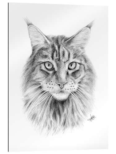 Gallery print Maine Coon Cat