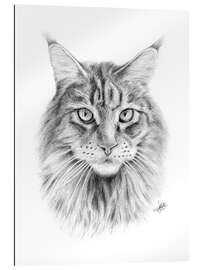 Gallery print Maine Coon Cat