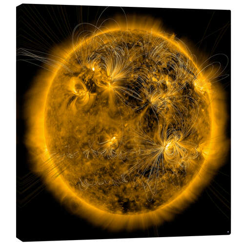 Canvas print Magnetic field lines on the Sun.