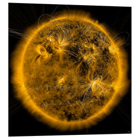 Tableau en PVC Magnetic field lines on the Sun.