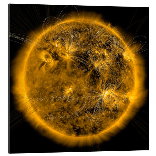 Gallery print Magnetic field lines on the Sun.