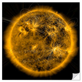 Wall sticker Magnetic field lines on the Sun.