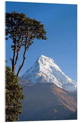 Acrylic print Annapurna - Nepal