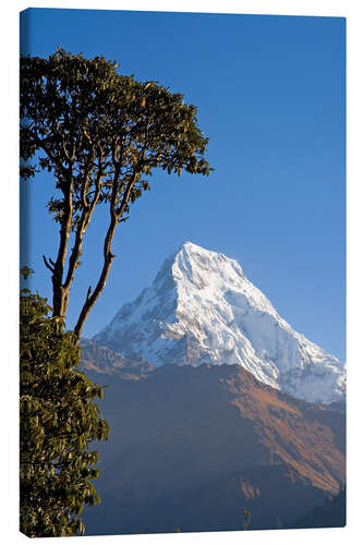 Lærredsbillede Annapurna - Nepal