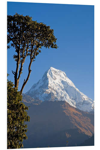 Print på skumplade Annapurna - Nepal