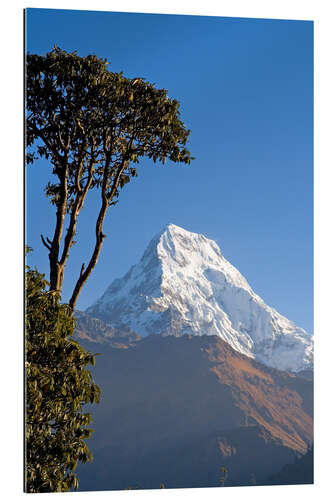 Galleritryk Annapurna - Nepal