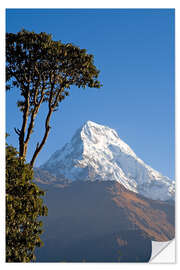 Selvklæbende plakat Annapurna - Nepal