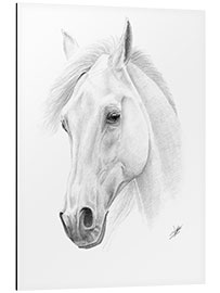 Aluminiumsbilde Horse drawing