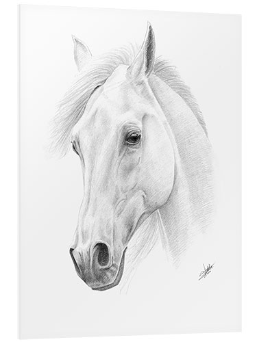 Foam board print Horse drawing