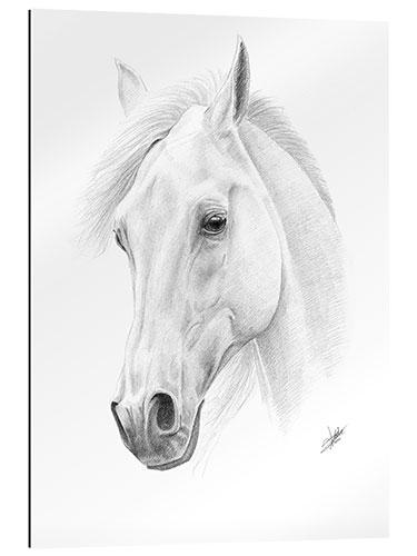 Quadro em plexi-alumínio Horse drawing