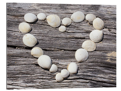 Gallery print Shell Heart