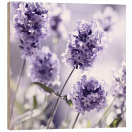 Wood print  Lavender scent III - Atteloi