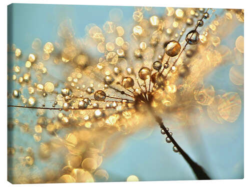 Canvas print Dandelion umbrellas with gold drops