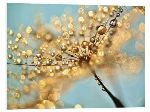 Foam board print Dandelion umbrellas with gold drops