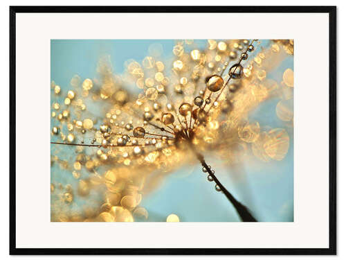 Framed art print Dandelion umbrellas with gold drops