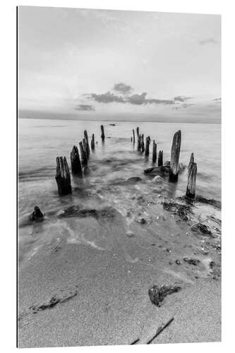 Tableau en plexi-alu Vestiges de bois sur la plage, Heiligenhafen