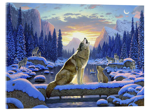 Acrylglas print Wolf learns the howling