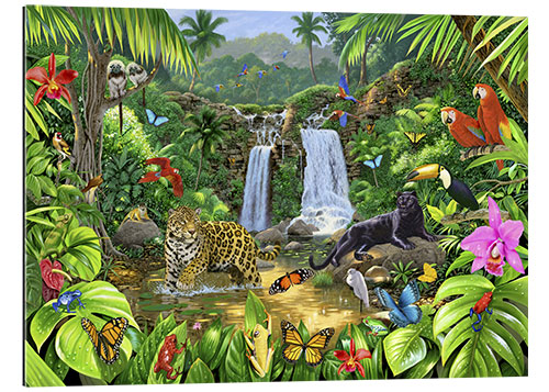 Gallery print Rainforest harmony