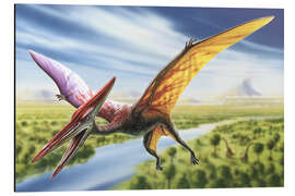 Magnettafel Pterodactylus