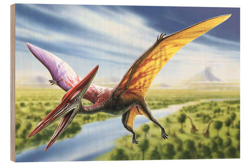 Holzbild Pterodactylus