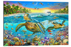 Magnettafel Schildkrötenbucht