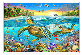 Poster  La baie aux tortues - Adrian Chesterman