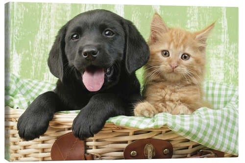 Canvas print Puppy and kitten in green gingham