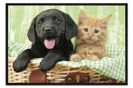 Gerahmter Kunstdruck Welpe und Kätzchen in grün kariertem Korb