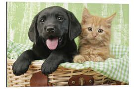 Magnettafel Welpe und Kätzchen in grün kariertem Korb