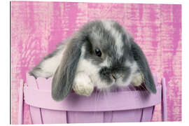 Galleriprint Rabbit in a flower pot