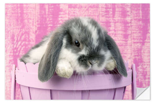 Wall sticker Rabbit in a flower pot