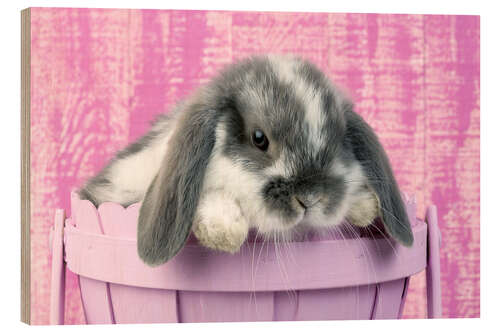 Wood print Rabbit in a flower pot