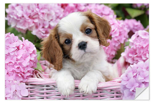 Naklejka na ścianę Pup in Pink Flowers