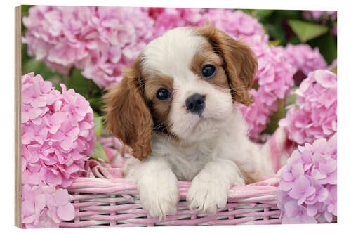 Wood print Pup in Pink Flowers