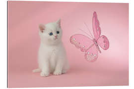 Gallery print Kitten with Pink Butterfly