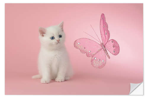 Wall sticker Kitten with Pink Butterfly