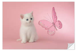 Wall sticker Kitten with Pink Butterfly