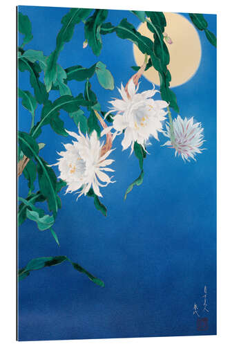 Gallery print Moon Flower