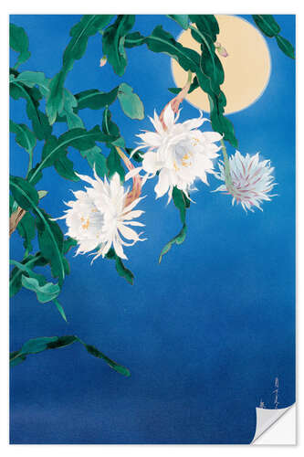 Wall sticker Moon Flower