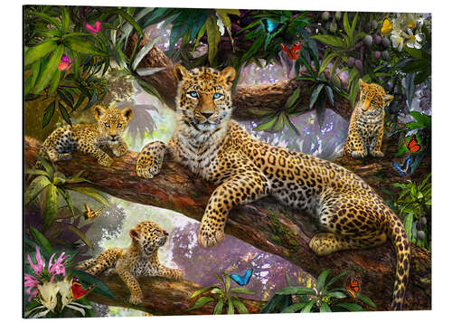 Aluminium print Tree Top Leopard Family