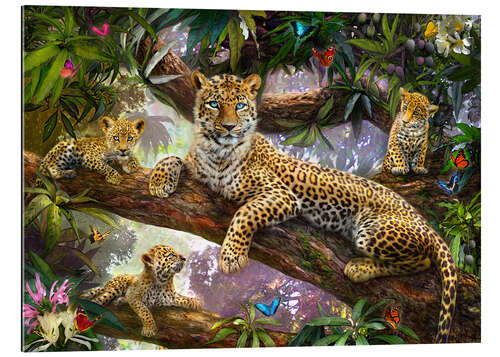 Tableau en plexi-alu Tree Top Leopard Family