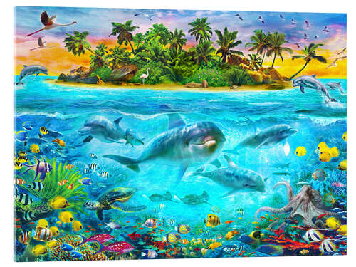 Acrylic print Dolphin Paradise Island