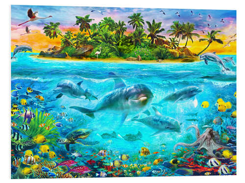 Quadro em PVC Dolphin Paradise Island