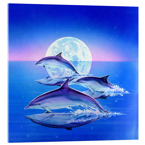 Quadro em acrílico Dolphin trio